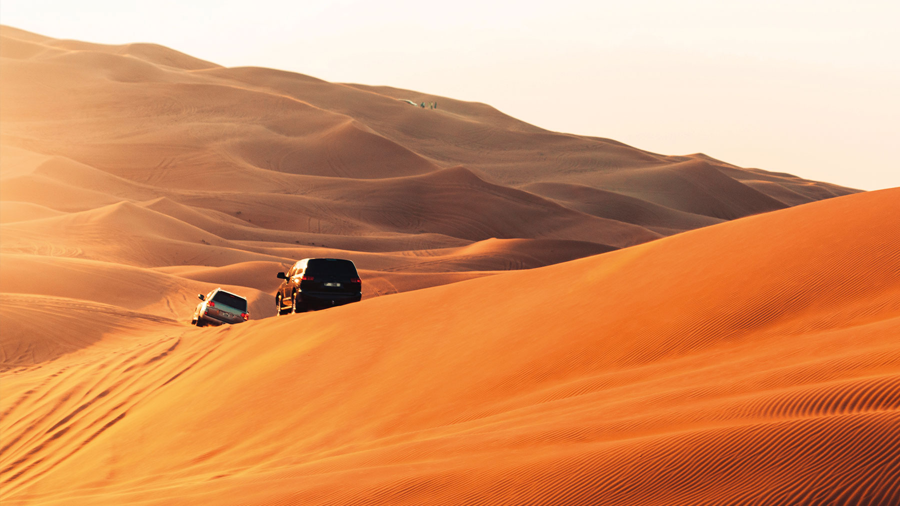 Off road vehicles driving through golden sand dunes in Dubai a popular destination on Arabian Gulf cruise itineraries