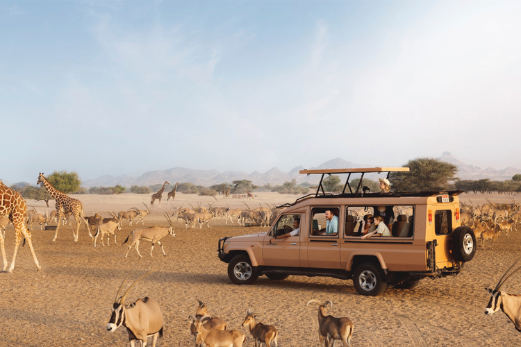 Sail with us to Sir Bani Yas
