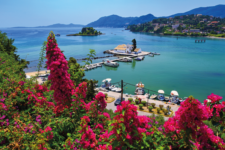 Hillside view of a harbour in Corfu with pink flowers on the hill and crystal clear water in the sea