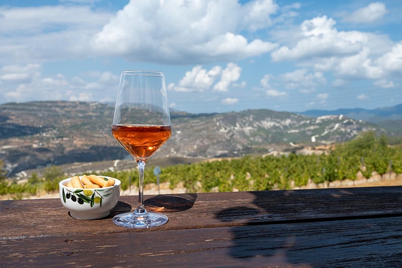 795w x 530h Limassol Omodos Oenoyi Winery LIM 08 vineyards and south slopes of Troodos mountain range
