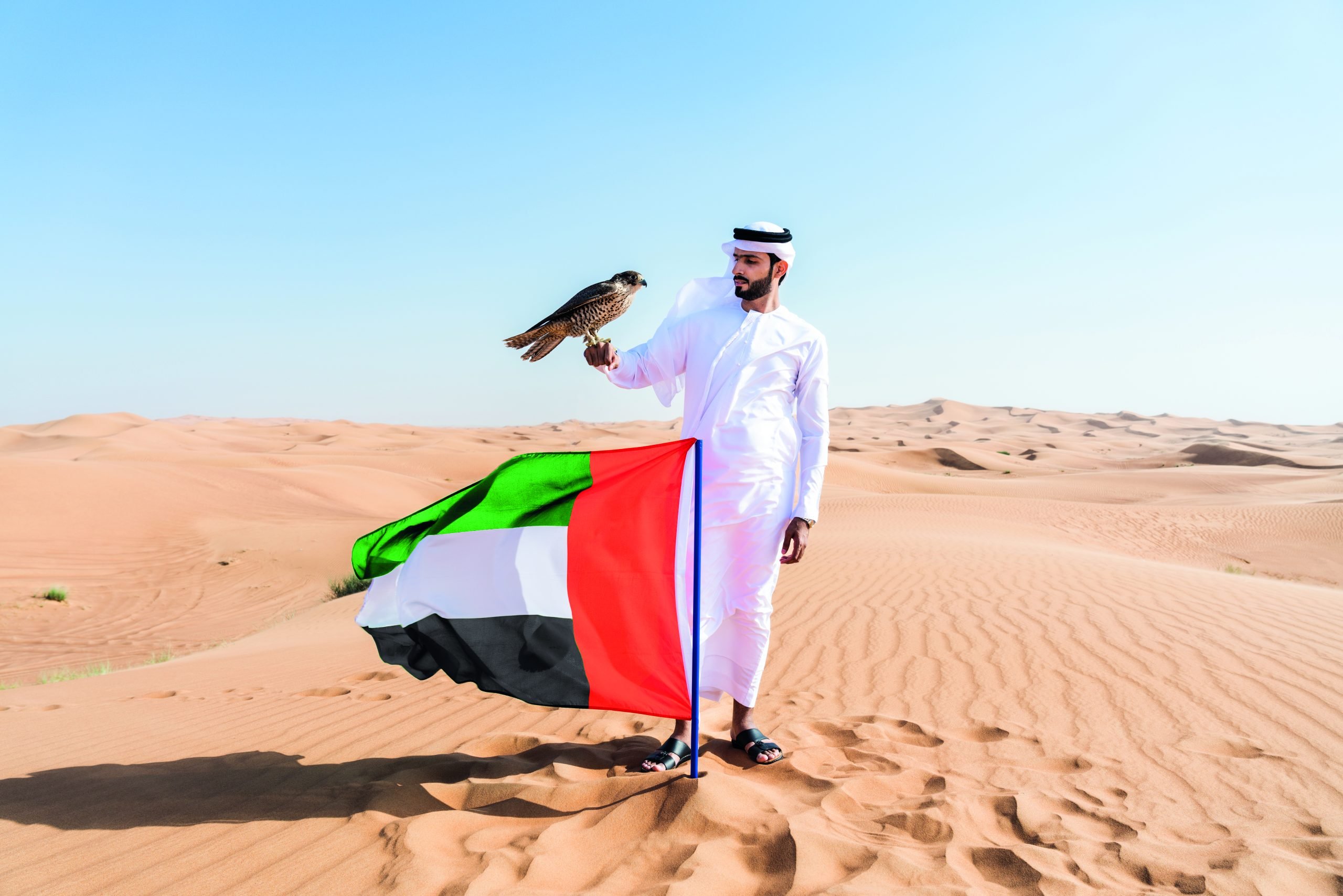Middle eastern emirati man wearing arab kandura holding falcon in the desert