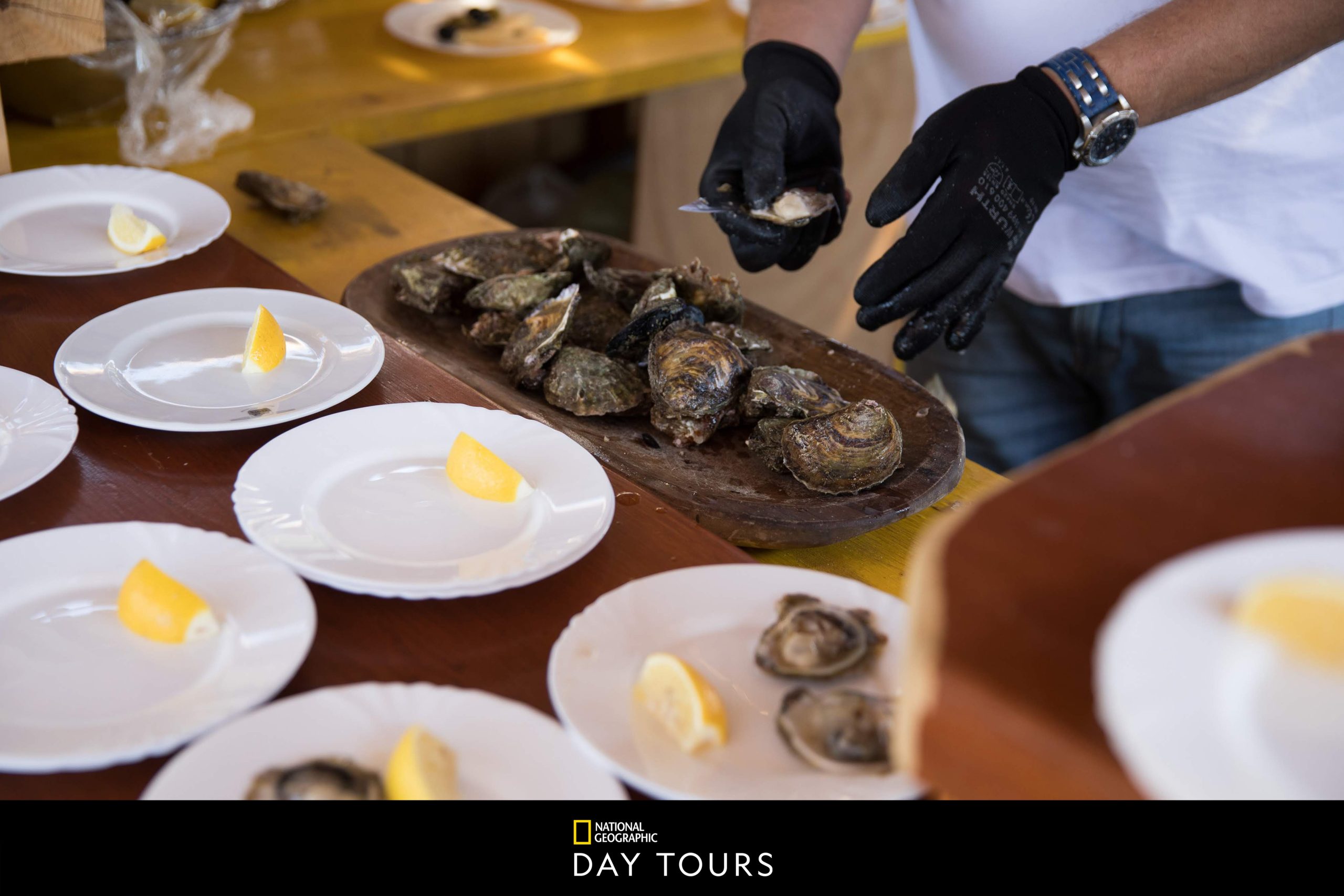 Dubrovnik Benefits & Flavours of Oyster Farm Image of Oysters on Plate09