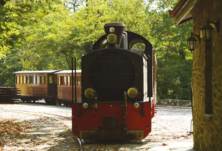 Excursion Legendary Moutzouris Mountain Train Ride 2