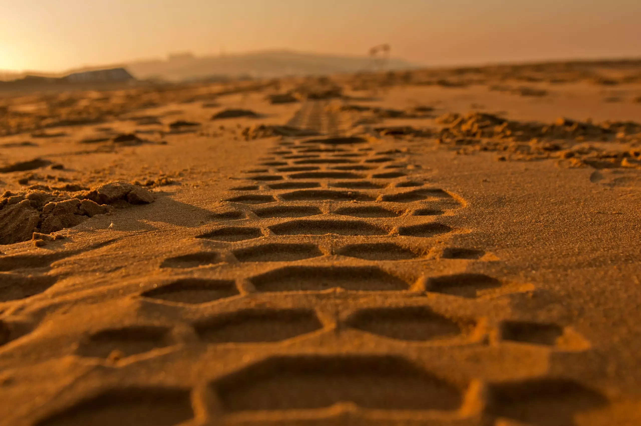 Tire Tracks